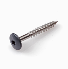 DAK&GEVEL KLEURKOPSCHROEF RVS-A2 CRÈMEWIT RAL9001 4.8X25 (50)